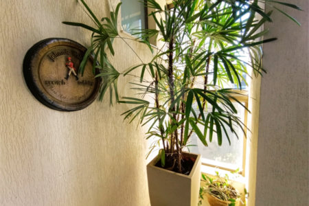 Apartamento Studio à venda Noblesse XV de Novembro São Carlos