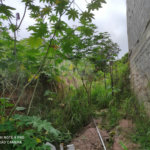 Terreno à venda em Chora Menino, São Paulo, SP