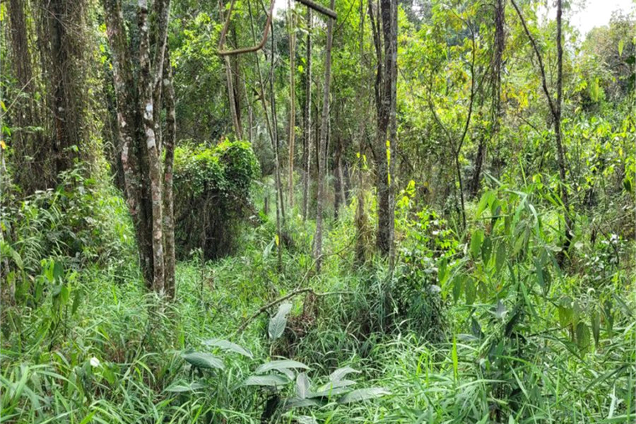 Terreno à venda em Serra da Cantareira, Mairiporã, SP