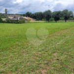 Loteamento Residencial no Condomínio Vila Pinhal do Broa.