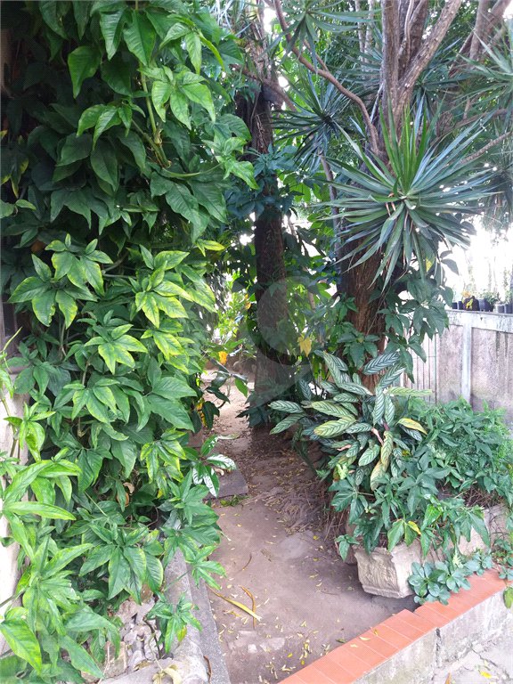 Terreno à venda com 3 quartos em Vila Guilherme, São Paulo, SP