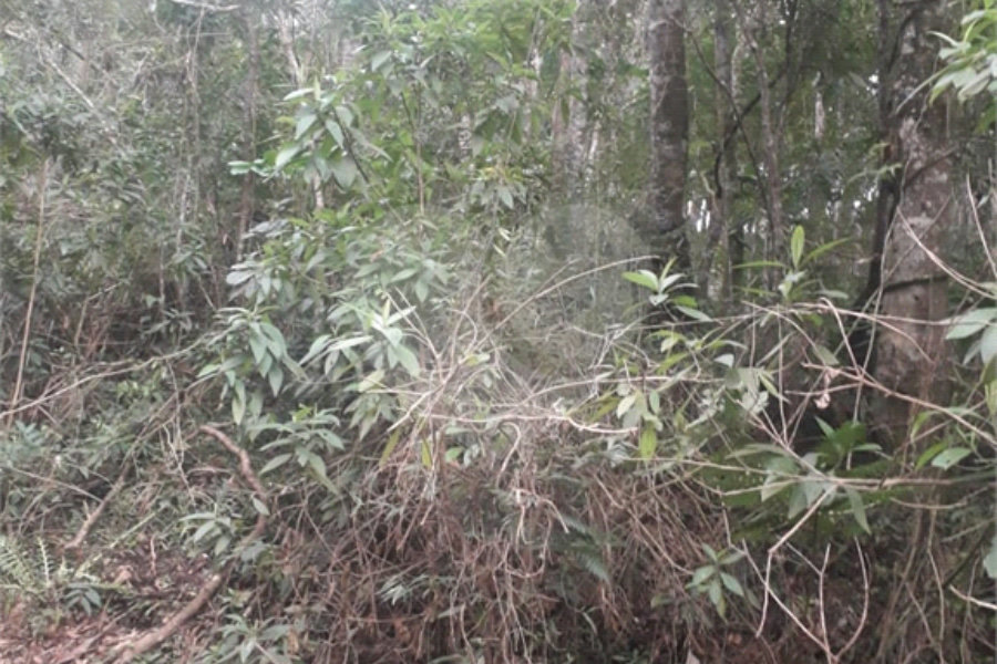 Terreno à venda em Suasalito, Mairiporã, SP