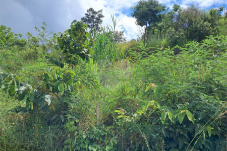Terreno à venda em Jardim Estância Brasil, Atibaia, SP