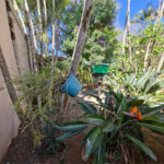 Casa à venda com 4 suítes no condomínio Villa Viana II, Cotia - SP