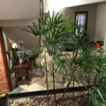 Casa à venda com 3 quartos, sendo 2 suítes, no condomínio Residencial Vivendas Piccolo Paese, Salto - SP