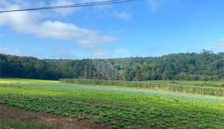 Terreno à venda em Parque Santa Rosa, Suzano, SP