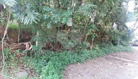 Terreno à venda em Tremembé, São Paulo, SP