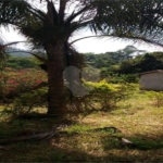 Terreno à venda em Bairro do Cambará, São Roque, SP