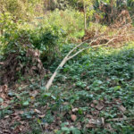 Terreno à venda em Vila Tramontano, São Paulo, SP