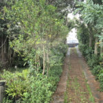 Terreno à venda ou para alugar em Horto, São Paulo, SP