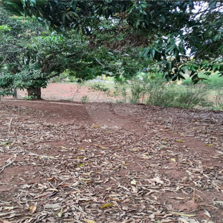 Terreno à venda em Chácara Fernão Dias, Bragança Paulista, SP