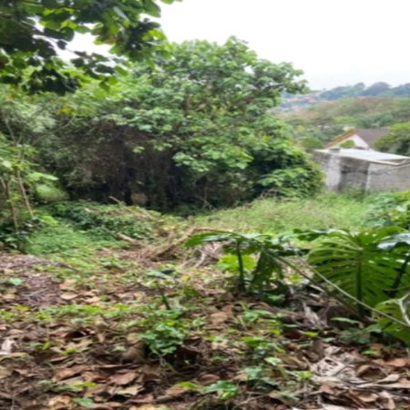 Terreno à venda em Jardim Leonor, São Paulo, SP