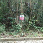 Terreno à venda em Serra da Cantareira, Mairiporã, SP