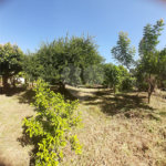 Terreno à venda em Vila Guido, Itu, SP