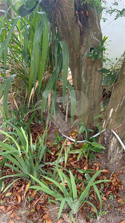 Casa em condomínio para alugar com 4 suítes em Bosque de Geribá, Armação dos Búzios, RJ