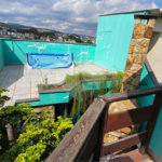 Sobrado à venda com 4 quartos, sendo 2 suítes, em Pirituba, São Paulo, SP