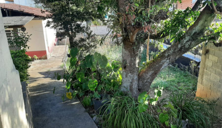 Terreno à venda em Tucuruvi, São Paulo, SP