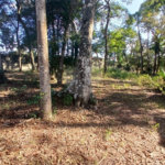 Terreno de 2000m² à Venda no Jardim Estância Brasil