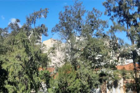 Apartamento à venda com 3 quartos, sendo 2 suítes, em Tijuca, Rio de Janeiro, RJ