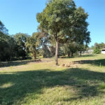 Sítio à venda com 3 quartos, sendo 1 suíte,  em Da Barra, Salto de Pirapora, SP