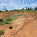 Terreno à venda no condomínio Estäncia Parque de Atibaia, Atibaia - SP