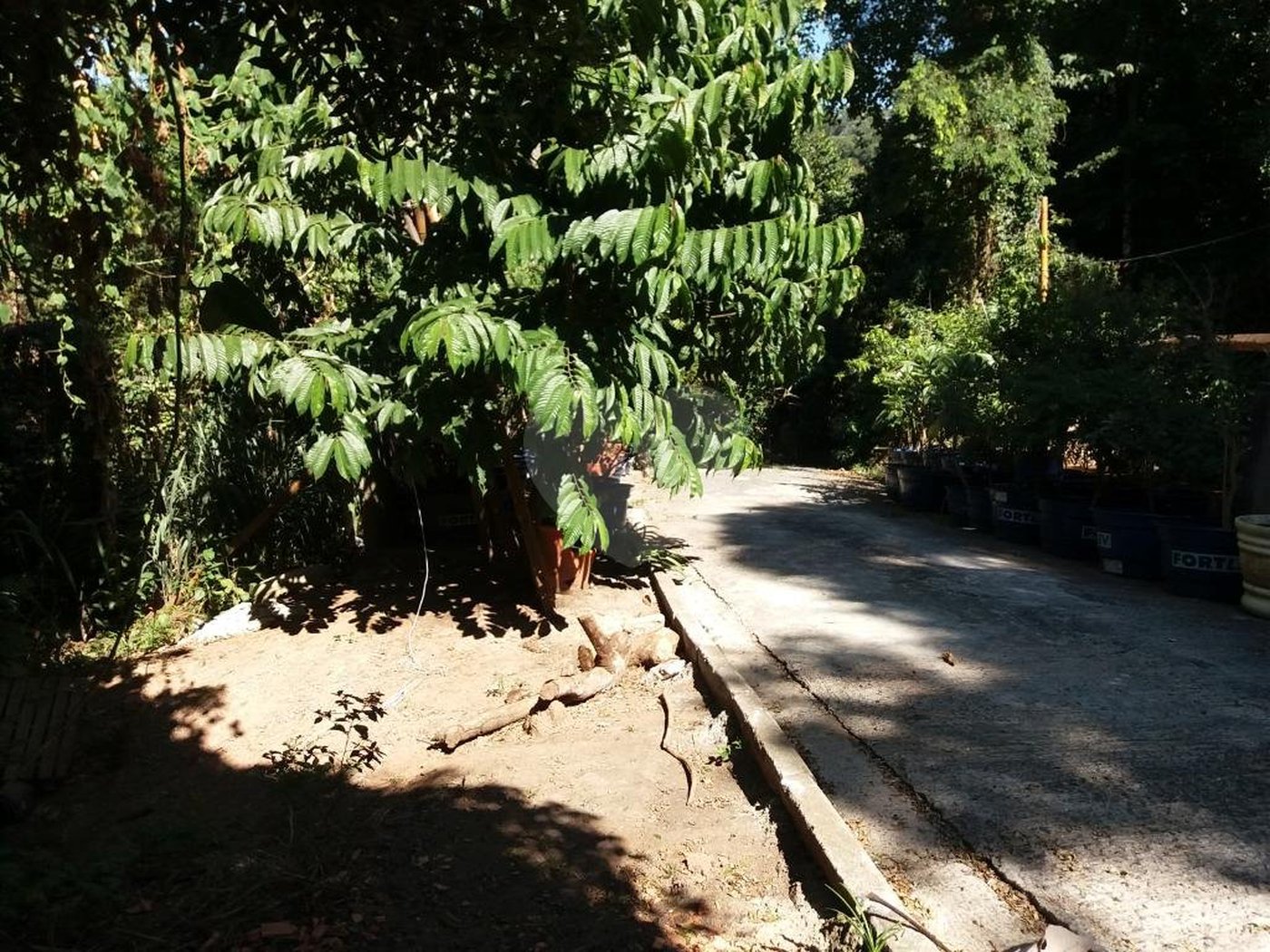Terreno à venda em Tucuruvi, São Paulo, SP