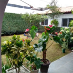 Sobrado à venda com 3 suítes em Jardim Realce, Suzano, SP