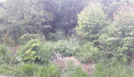 Terreno à venda em Capoavinha, Mairiporã, SP