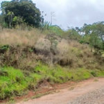 Terreno à venda em Luiz Fagundes, Mairiporã, SP