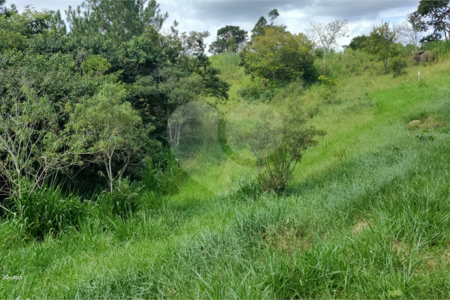 GLEBAS RURAIS EM PIRACAIA A PARTIR 20.000 M², EXCELENTE PARA CHÁCARAS E FAZENDINHAS