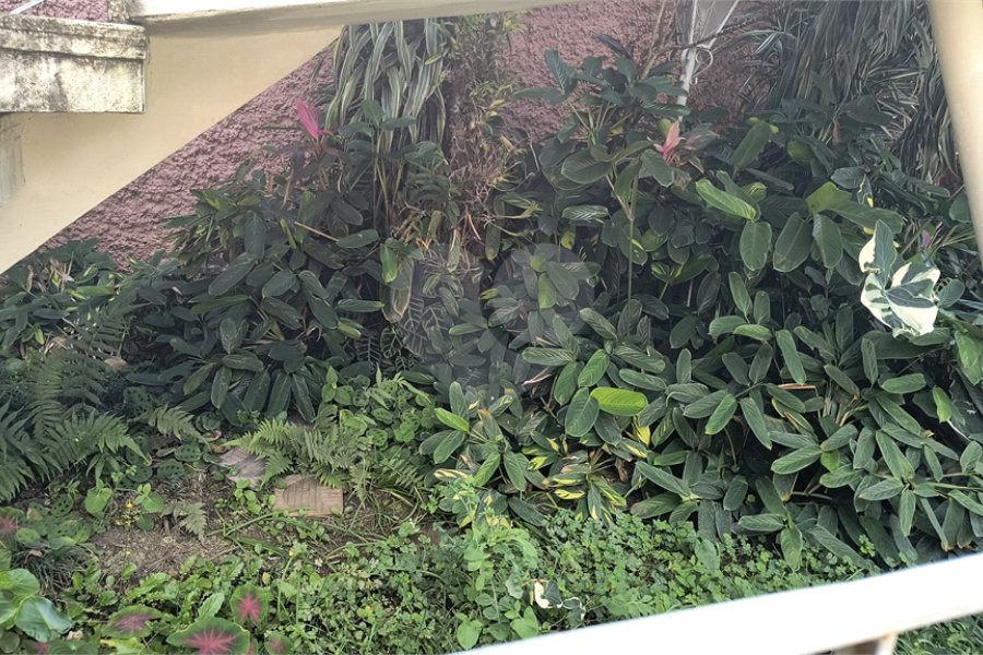 Casa à venda com 3 quartos, sendo 1 suíte, em Tremembé, São Paulo, SP