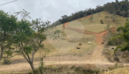 Sítio à venda no Centro, Sapucaí-mirim, MG