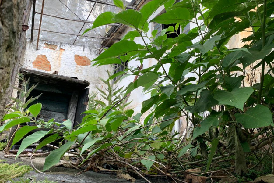 Casa à venda com 2 quartos em Parada Inglesa, São Paulo, SP