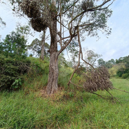 Terreno à venda em Jardim Monte Santo, Itapetininga, SP