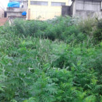 Terreno à venda em Imirim, São Paulo, SP