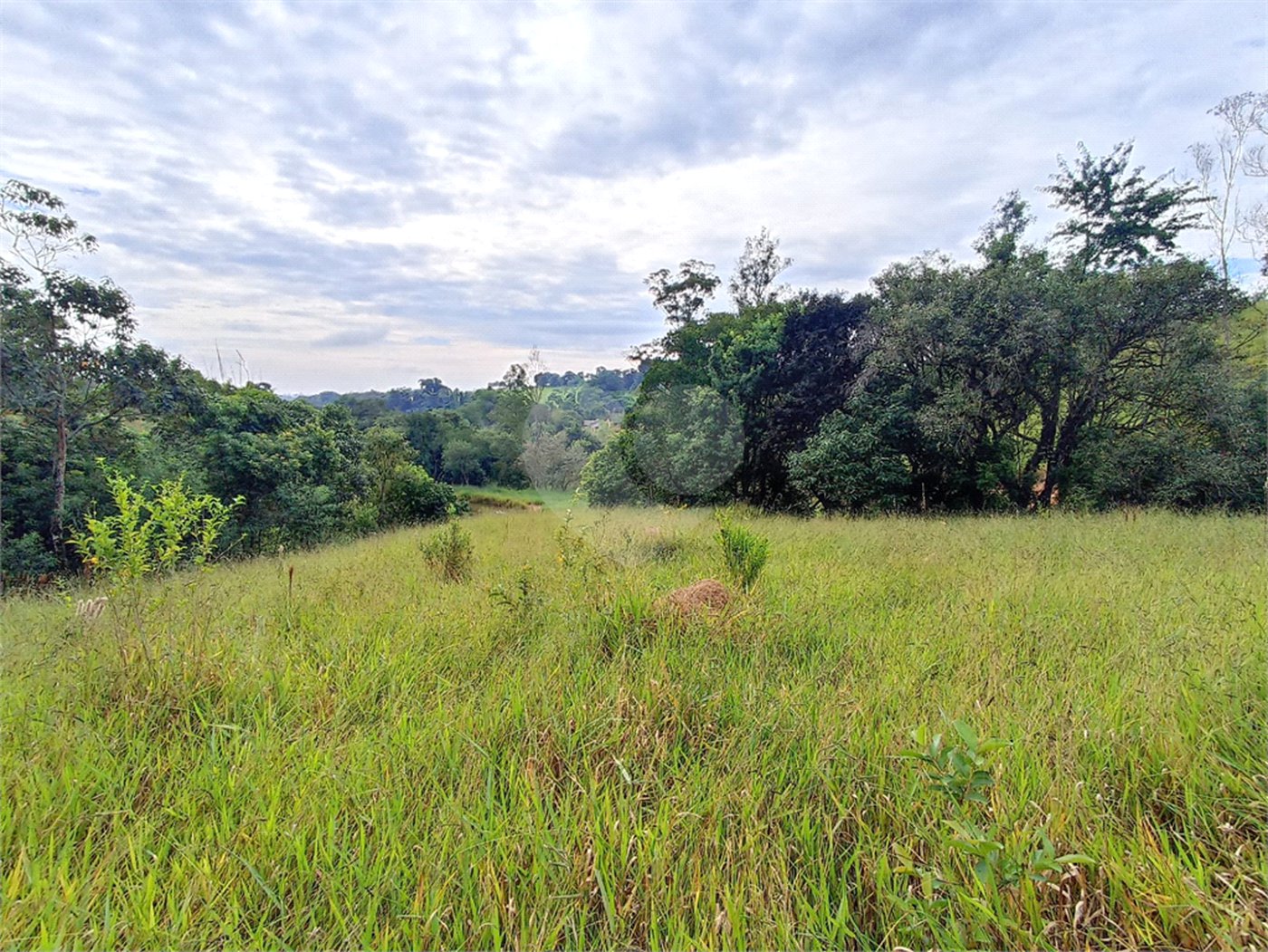 Terreno à venda em Residencial Reserva da Mata, Itapetininga, SP