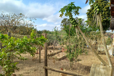 Terreno à venda em São Miguel Arcanjo, SP