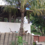 Chácara à venda com 3 quartos, sendo 2 suítes, em Terras de Santa Carolina II, Itu, SP
