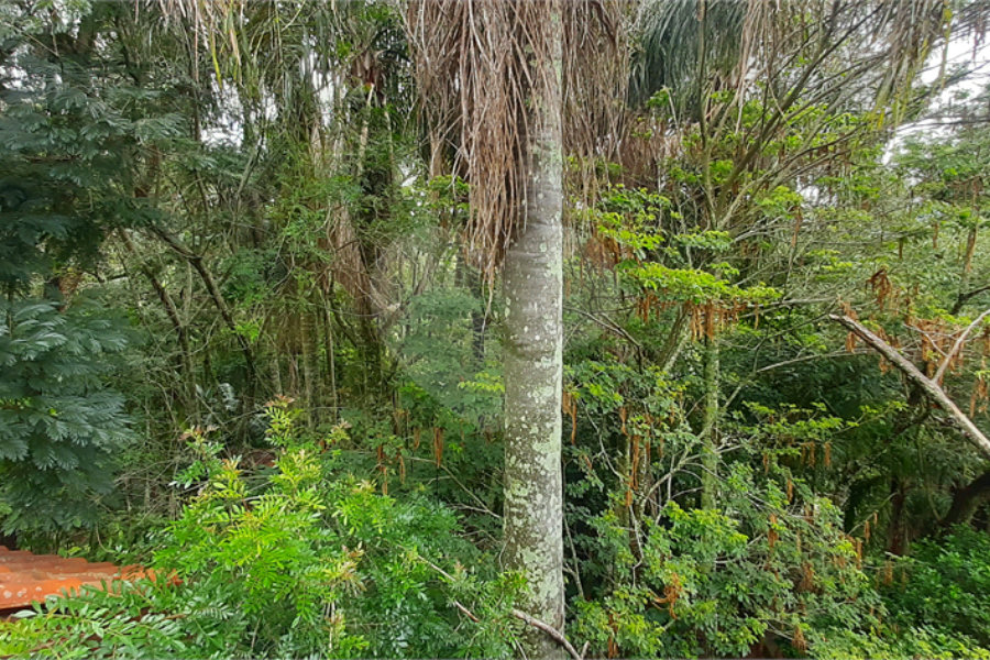 Casa à venda com 4 quartos, sendo 2 suítes, no condomínio Associação Reserva das Hortênsias, Mairiporã - SP