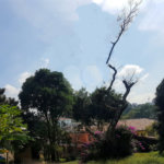 Terreno à venda em Jardim Prudência, São Paulo, SP