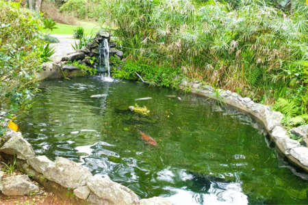 Terreno à venda em Jardim São Vicente, Cotia, SP