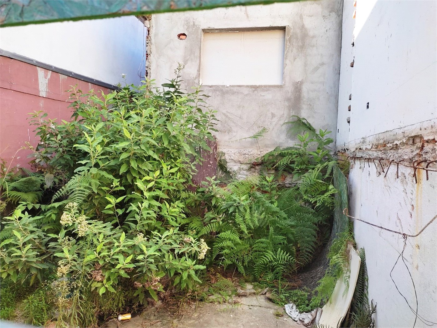 Terreno à venda em Vila Guilherme, São Paulo, SP
