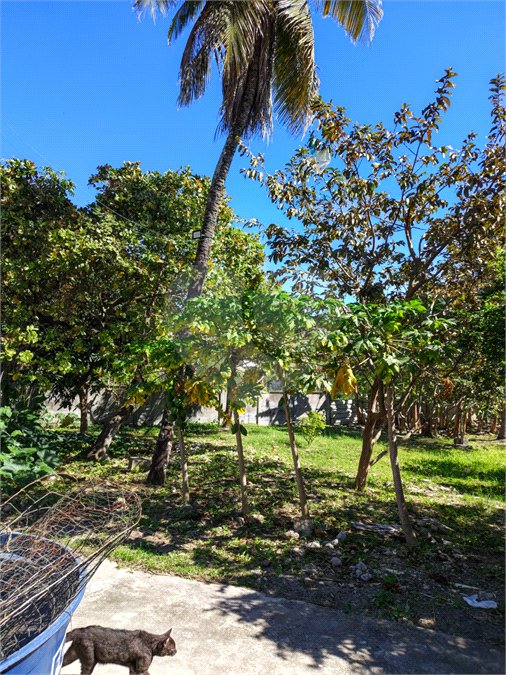Área de Terra à venda com 1 quarto em Santa Cruz, Rio de Janeiro, RJ