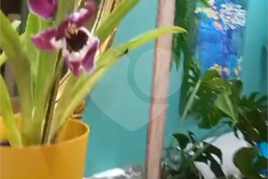 Apartamento à venda com 3 quartos, sendo 1 suíte, em Vila Maria, São Paulo, SP