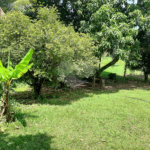 Terreno à venda em Cachoeira, Vinhedo, SP