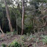 Terreno à venda no condomínio Alpes da Cantareira, Mairiporã - SP