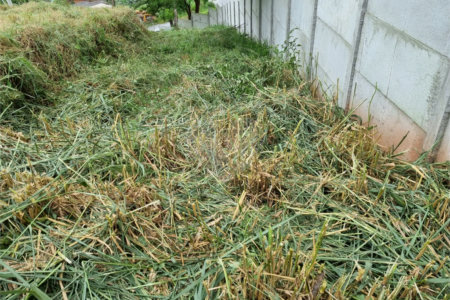 Terreno à venda em Parque Residencial Itapeti, Mogi das Cruzes, SP