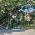 Casa Térrea à venda com 4 quartos, sendo 3 suítes,  em Jardim São Paulo(zona Norte), São Paulo, SP
