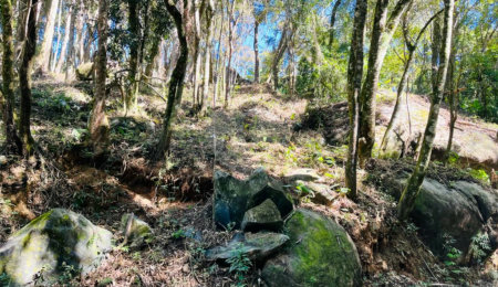 Terreno à venda em Jundiaizinho (terra Preta), Mairiporã, SP