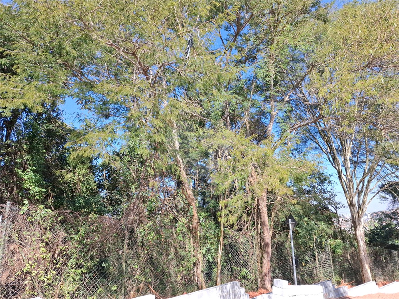 Terreno à venda em Jardim Peri, São Paulo, SP